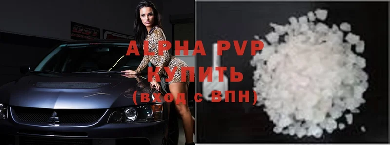 A PVP СК  Горно-Алтайск 